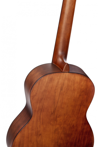 Ortega R55DLX-BFT